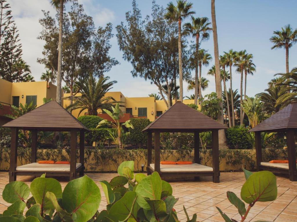 Pachi Beach Atlantic Garden 科拉雷侯 外观 照片